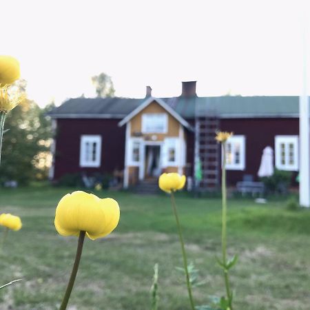 Paeivin Pirtti - Pirttikahvila Ja B&B Luosto Luaran gambar