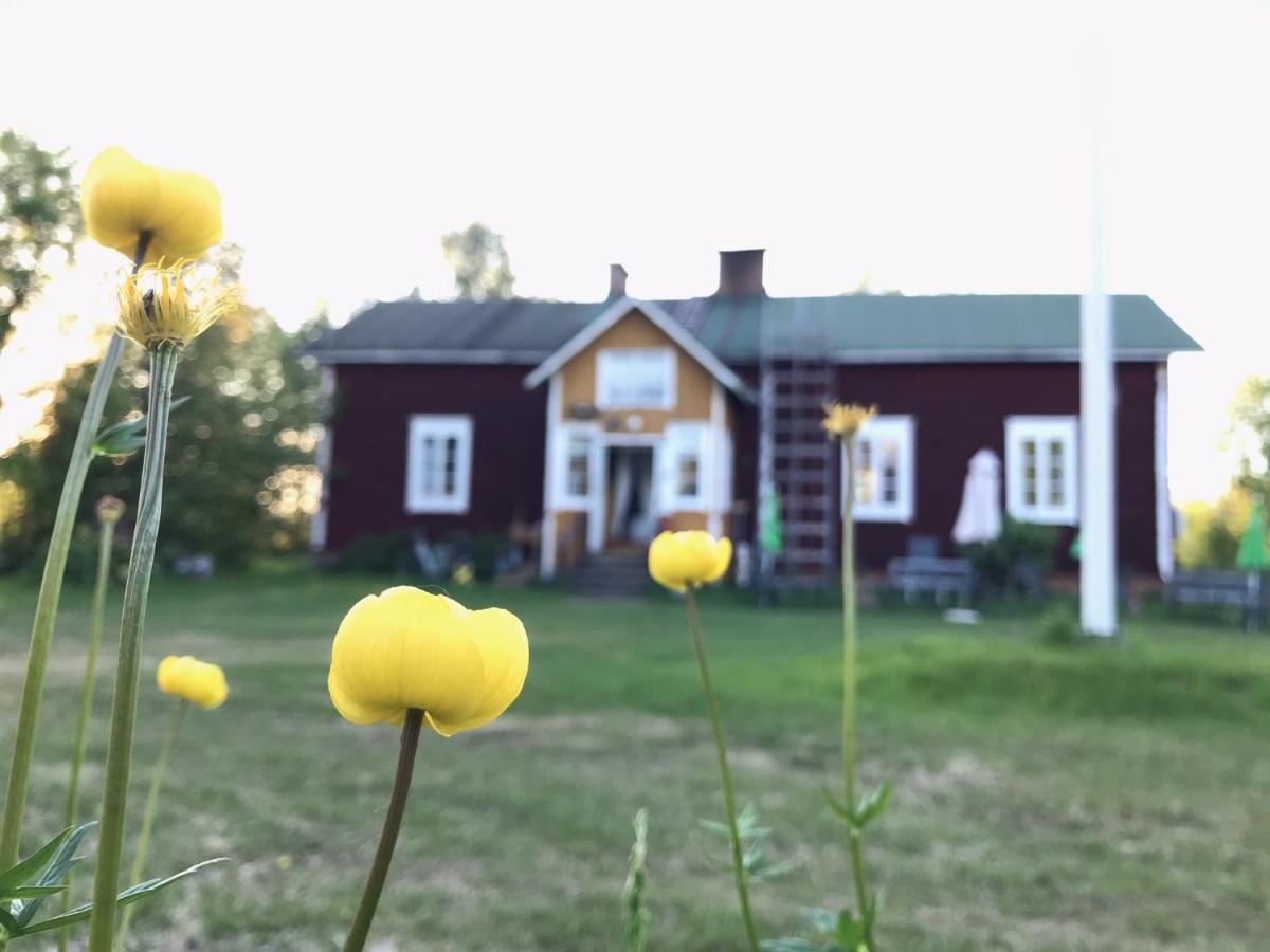 Paeivin Pirtti - Pirttikahvila Ja B&B Luosto Luaran gambar